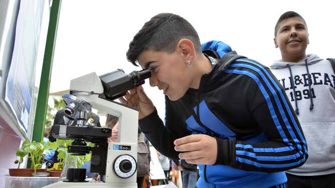 Un joven mira por un microscopio en las jornadas.