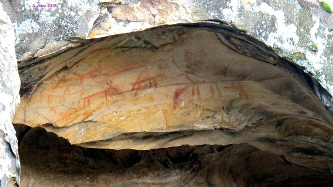 Pinturas rupestres en la Cueva del Pajarraco.